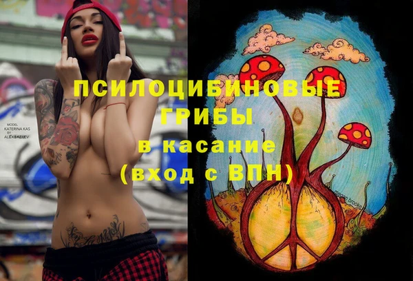 хмурый Магас