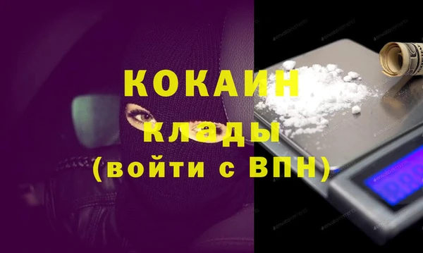 хмурый Магас