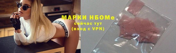 хмурый Магас