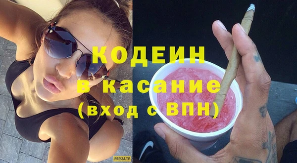 хмурый Магас