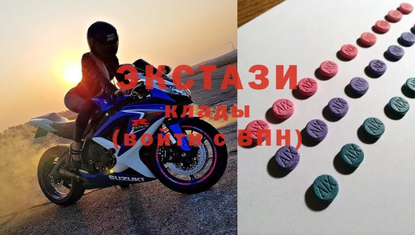 хмурый Магас