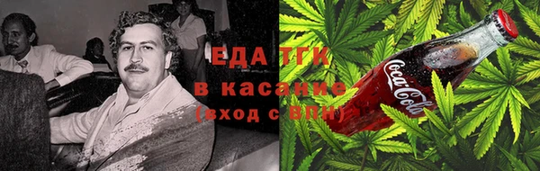 хмурый Магас
