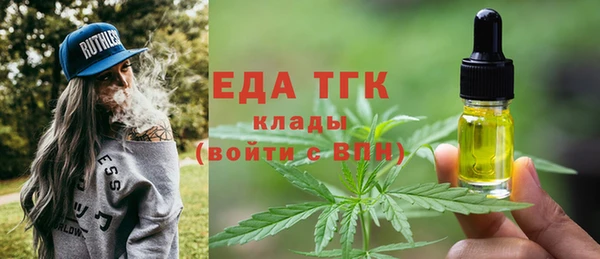 хмурый Магас