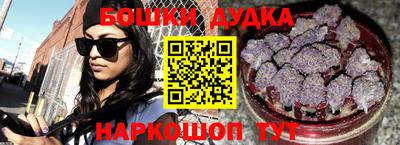 гидра Аша