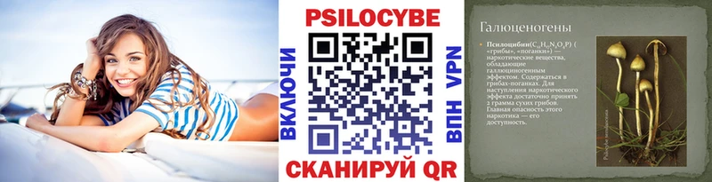 Псилоцибиновые грибы Magic Shrooms  купить наркотики цена  Моршанск 