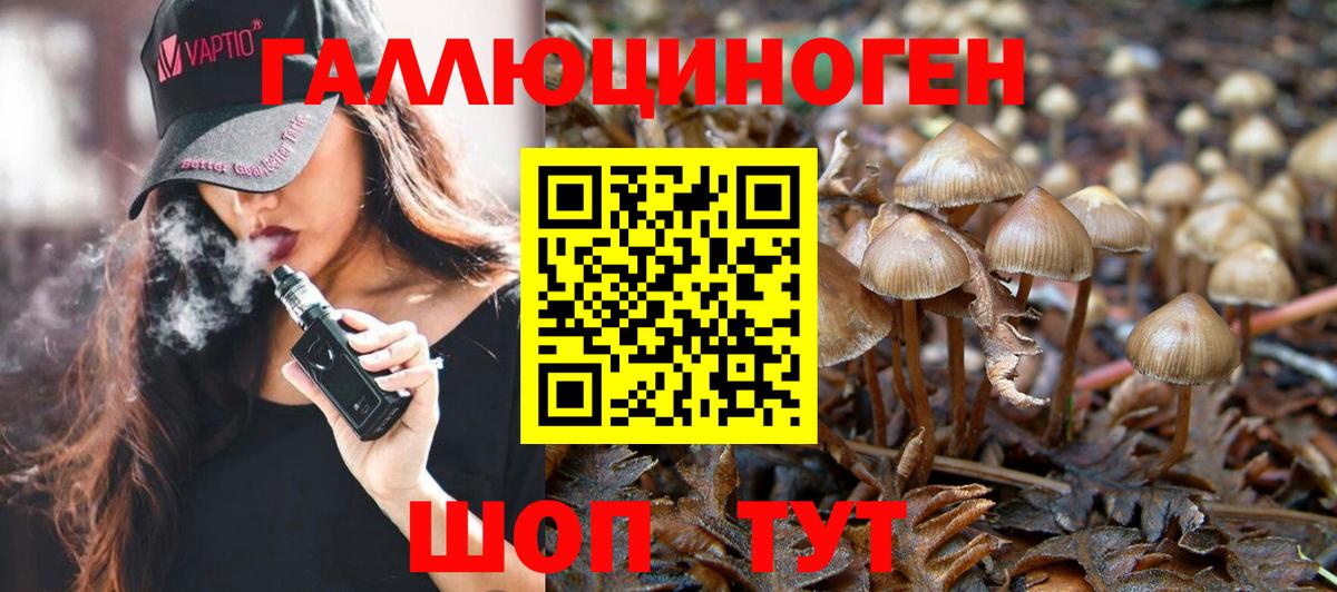 Псилоцибиновые грибы прущие грибы  Галлюциногенные грибы MAGIC MUSHROOMS  Моршанск  Вход с VPN 
